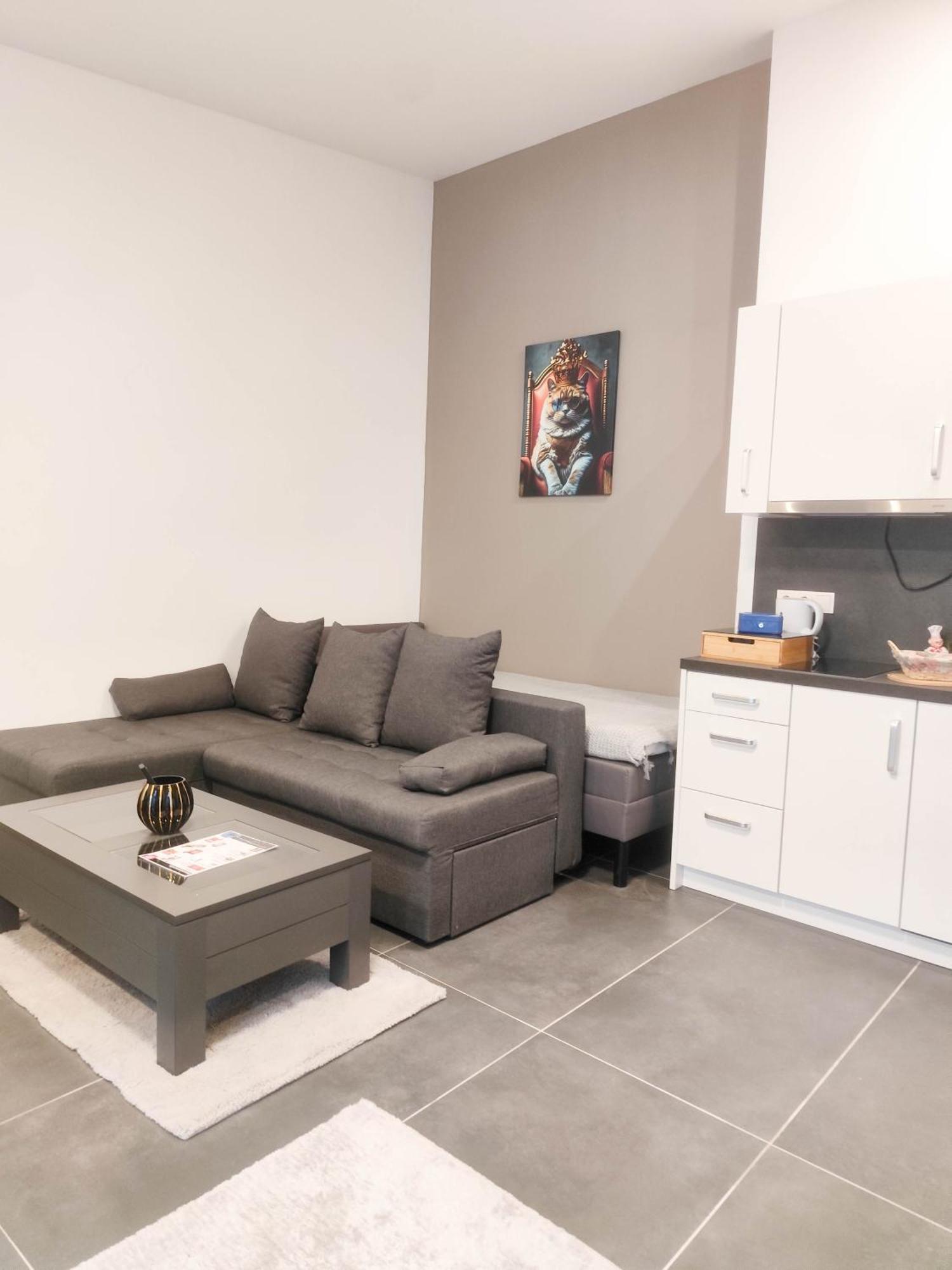Cozy Apartments In Central Location With Free Parking Vienne Extérieur photo