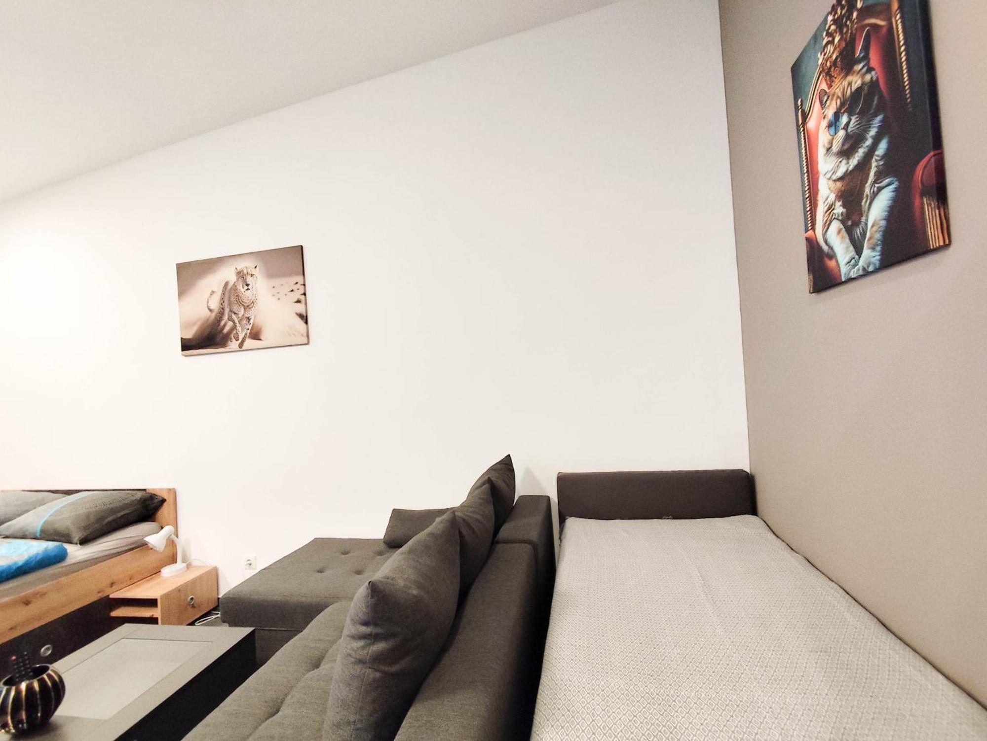 Cozy Apartments In Central Location With Free Parking Vienne Extérieur photo