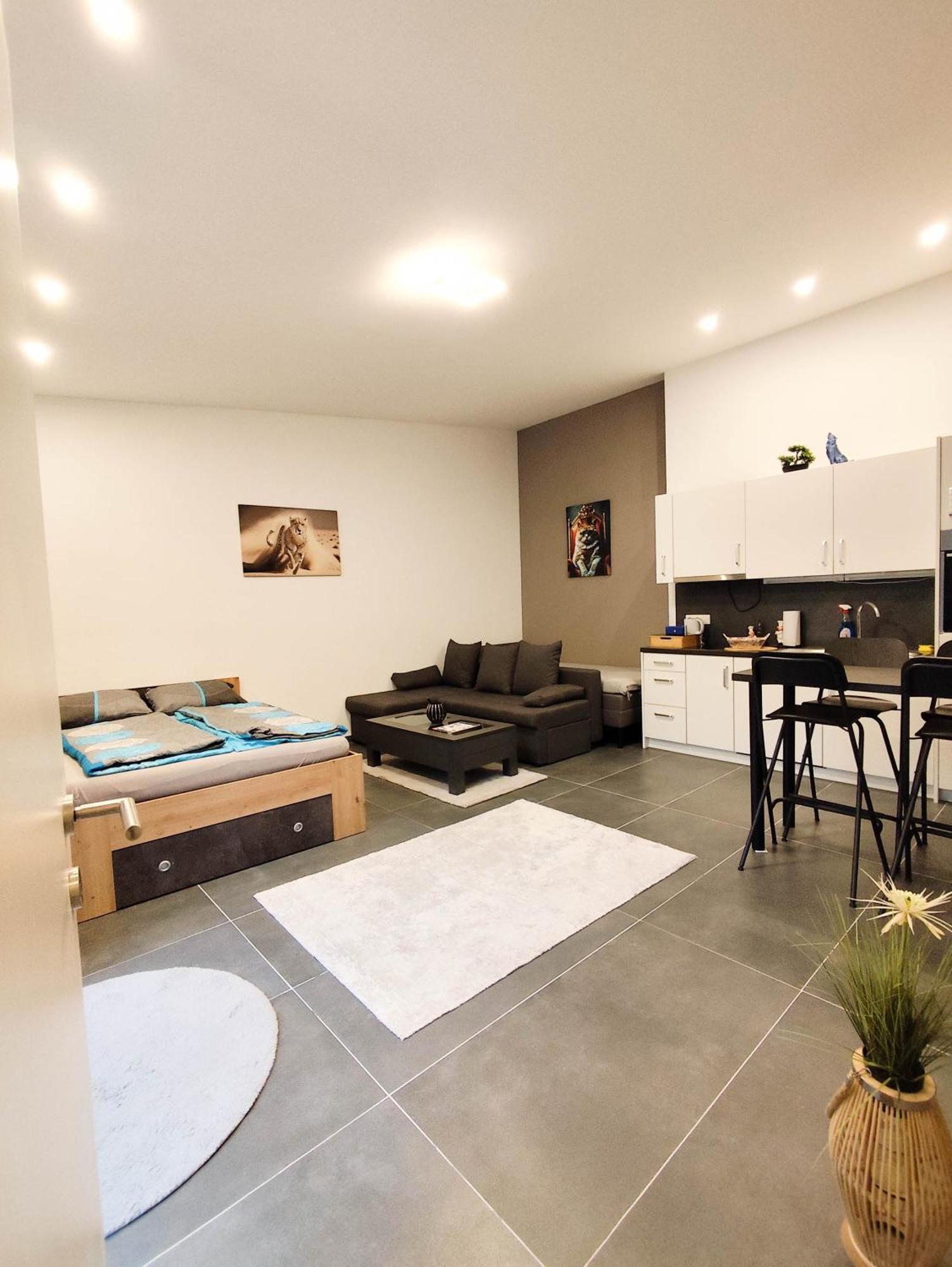 Cozy Apartments In Central Location With Free Parking Vienne Extérieur photo