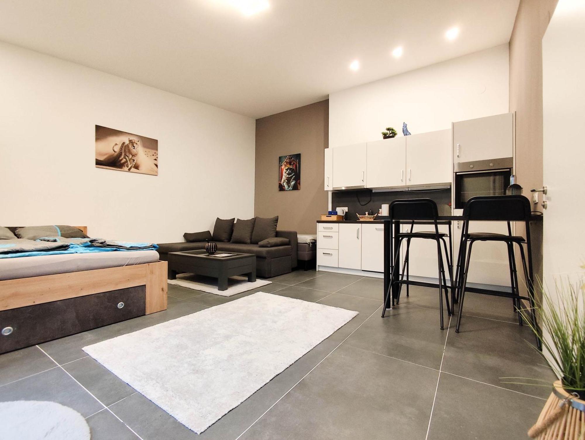 Cozy Apartments In Central Location With Free Parking Vienne Extérieur photo