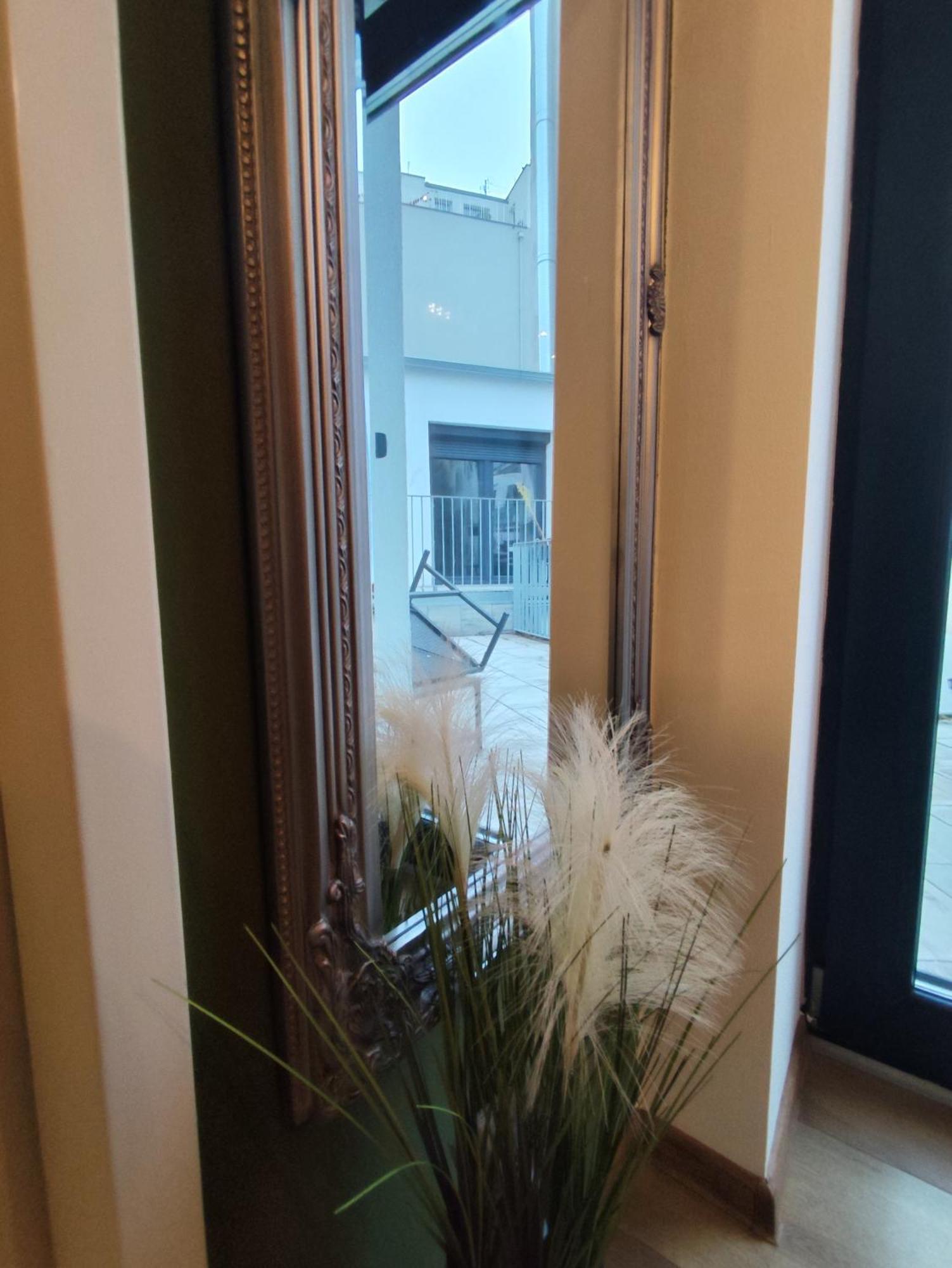 Cozy Apartments In Central Location With Free Parking Vienne Extérieur photo